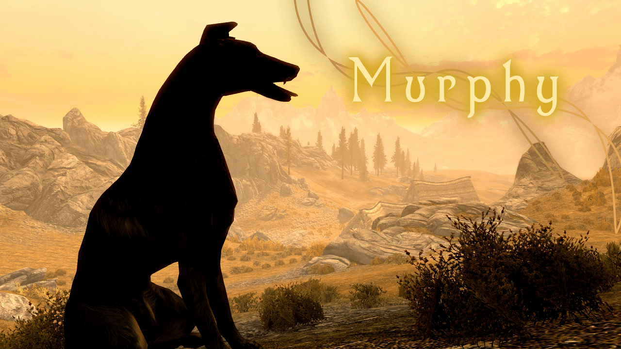Skyrim Modder Immortalizes Very Good Boy With Murphy Companion Skyrim